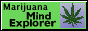 marijuana mind explorer